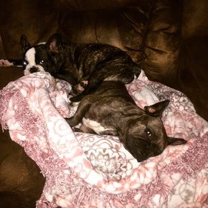 Meet your Posher, Laura